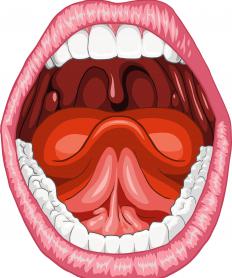 A human mouth with the frenum shown as a pink vertical line connecting the tongue to the mouth. 