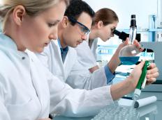 People working in a chemistry lab