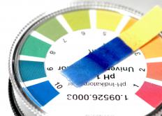 A pH test. A soil test will often reveal the pH balance of the soil.