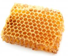 Piece of a honeycomb