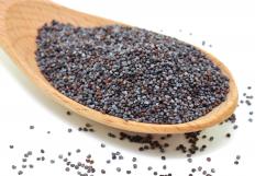 Poppy seeds can skew drug testing results by showing up as an opiate.