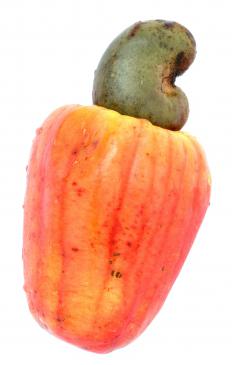 A raw cashew