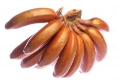 Red bananas