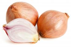 Mediterranean couscous often includes shallots.