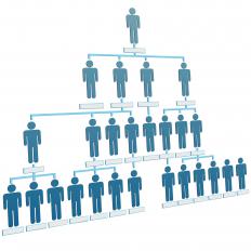An organizational chart.