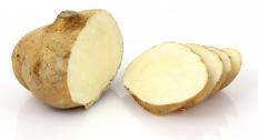 The edible part of jicama is the tap root itself