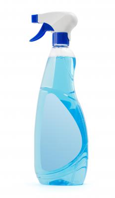 Window cleaner can kill ants