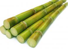 Sugarcane, which is grown in Mauritius.