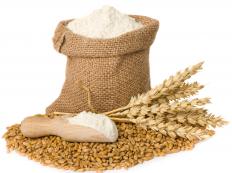 Those who consume limited diets heavy in starches, such as wheat and barley, might be more likely to develop kwashiorkor.