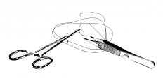 Medical tools that a doctor might use to place and remove stitches.