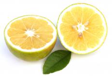 A bergamot orange.