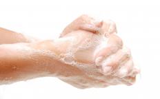 Washing hands with antibacterial soap when there's a cut present can prevent boils from forming. 