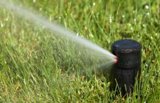 A lawn sprinkler.