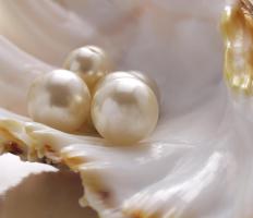 Cultured pearls are formed when humans introduce an irritant into a mollusk's shell.