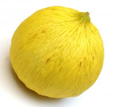 A casaba melon.