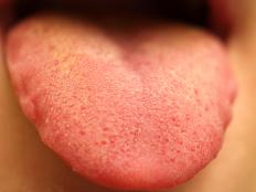 A tongue.