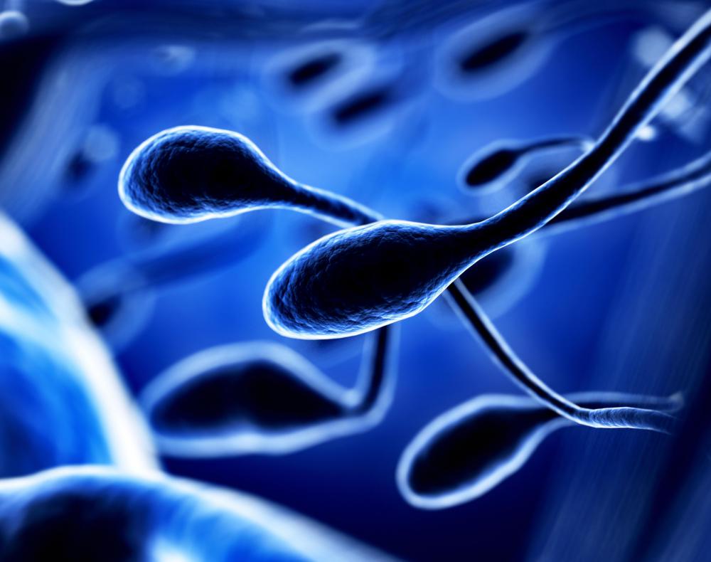 Can treatement against sperm