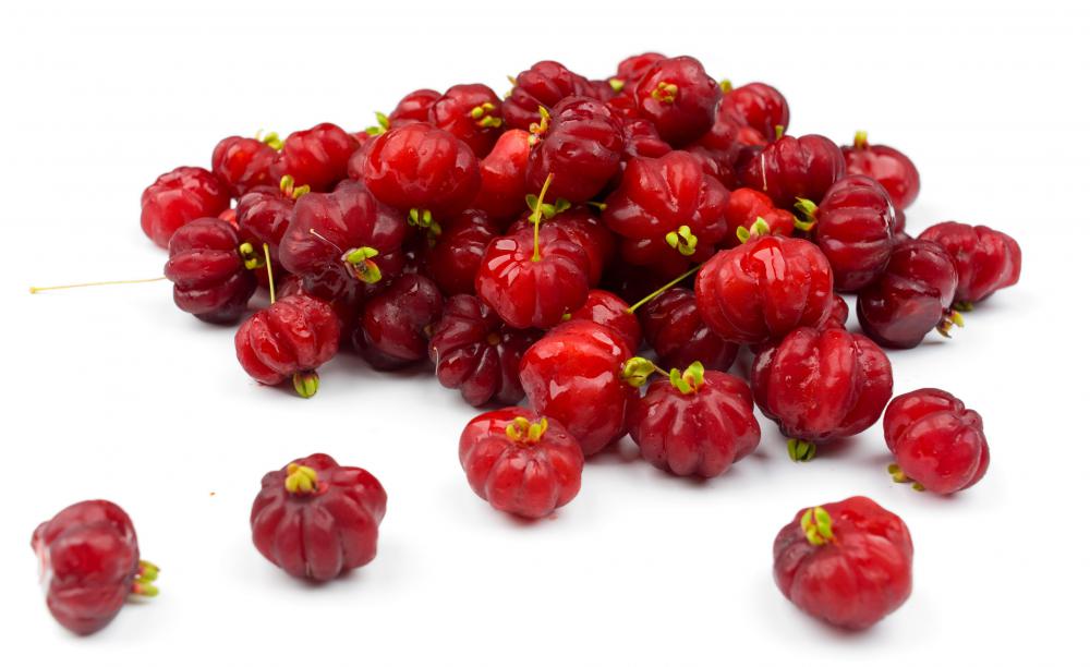 The Surinam cherry is native to South America.