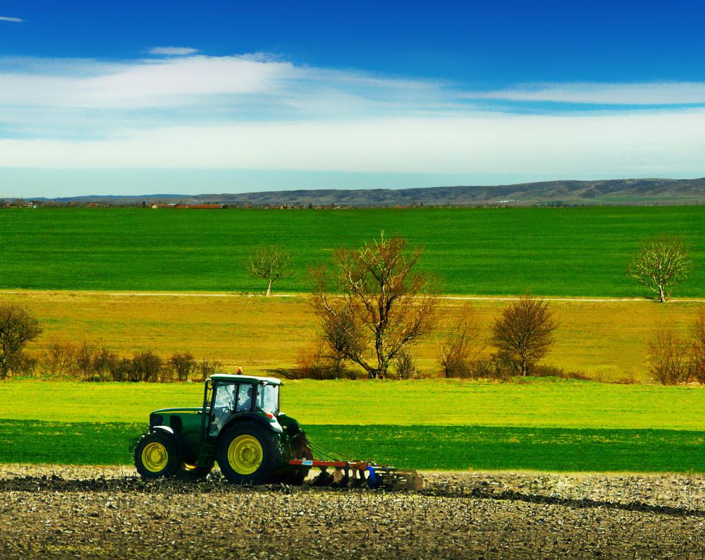 What Is Crop Farming? with pictures