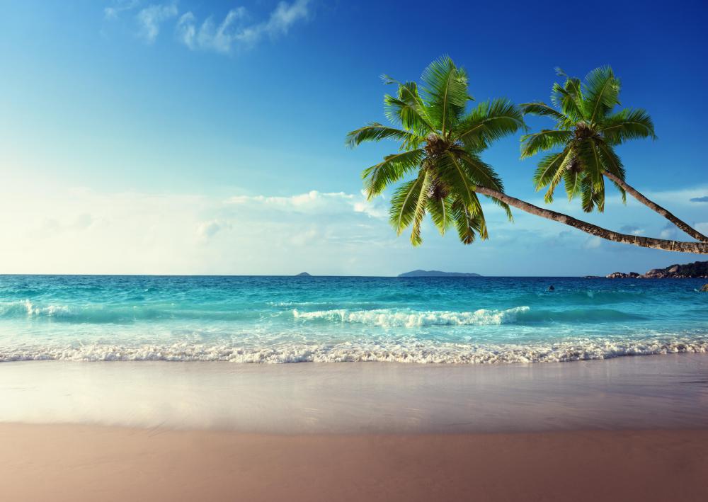 New sediment may be poured onto a beach that has lost sediment due to erosion.