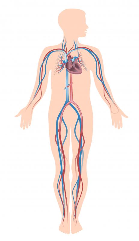 renal failure a medical dictionary