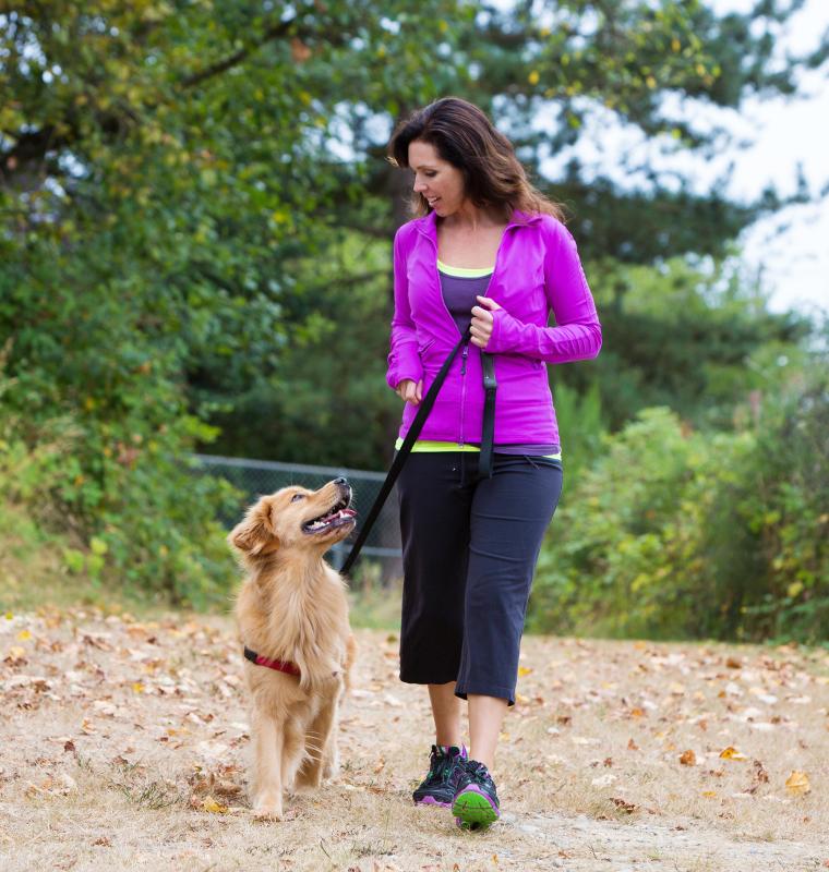 A reluctance to move their head while walking can be a sign of back pain in dogs.