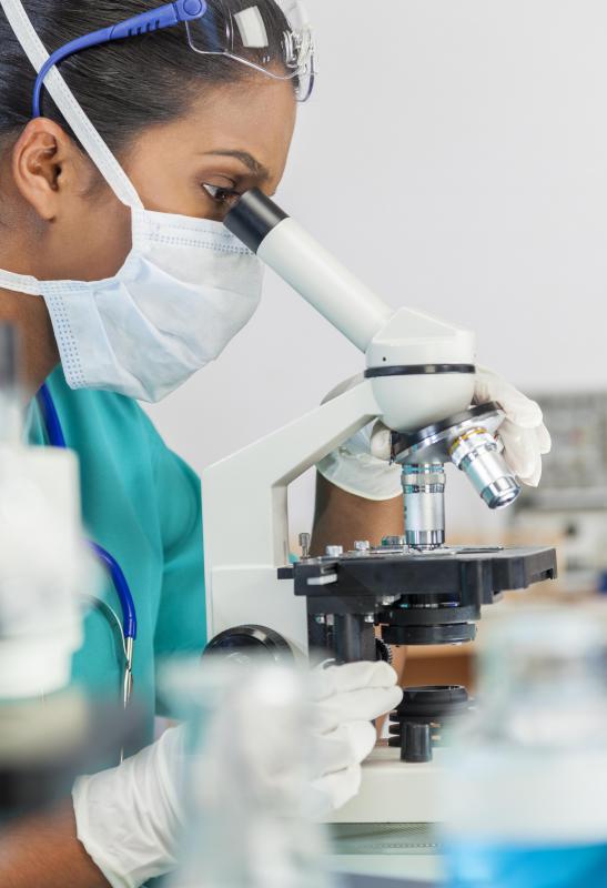 Learning about a bacterium's genome can help scientists improve medical treatments for some diseases.