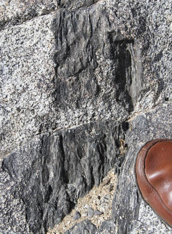 Geoscientists study the properties of the lithosphere by examining xenoliths.