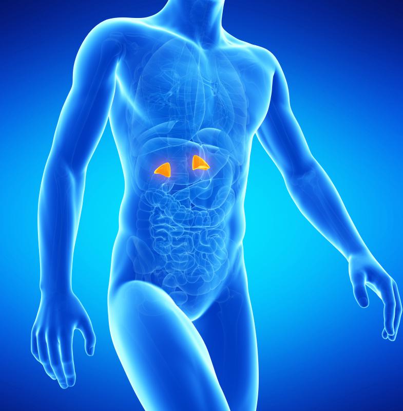 overactive adrenal system symptoms