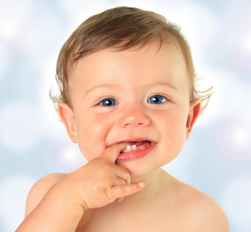 What are the Different Types of Baby Pacifiers? (with 