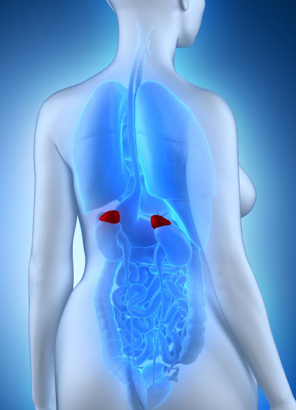 what hormone does the adrenal gland release