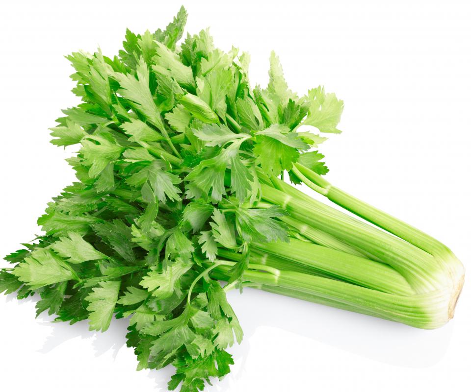 What is Celery? (with pictures)