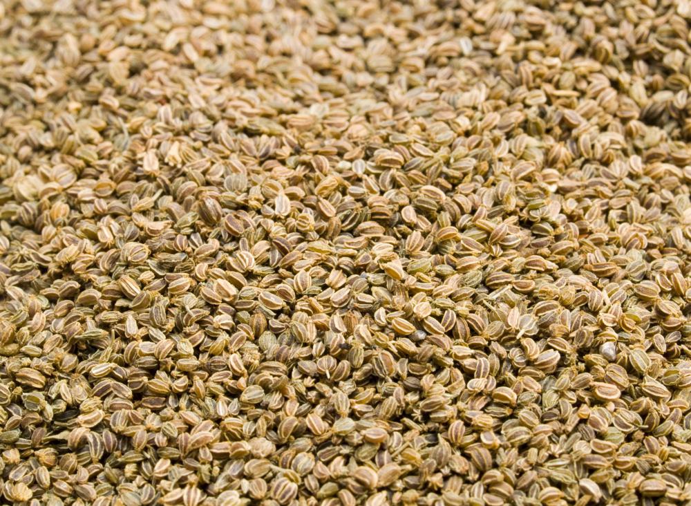 celery seed