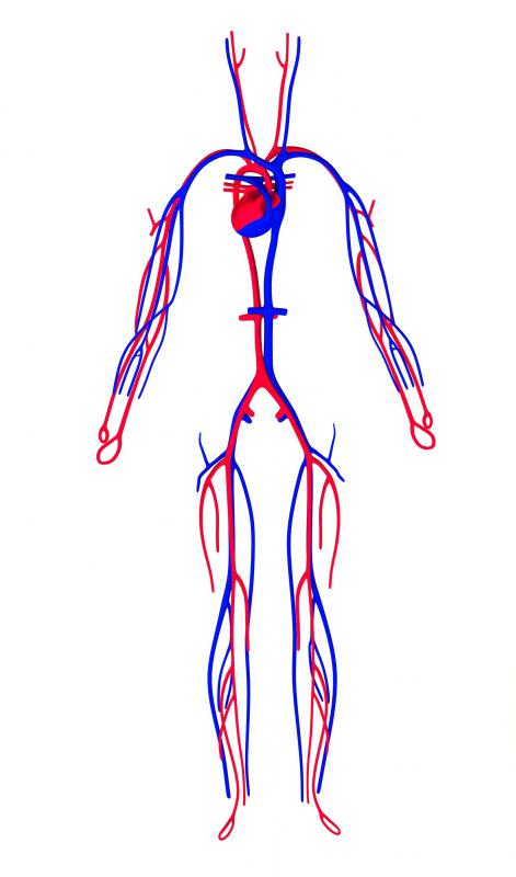 high blood viscosity