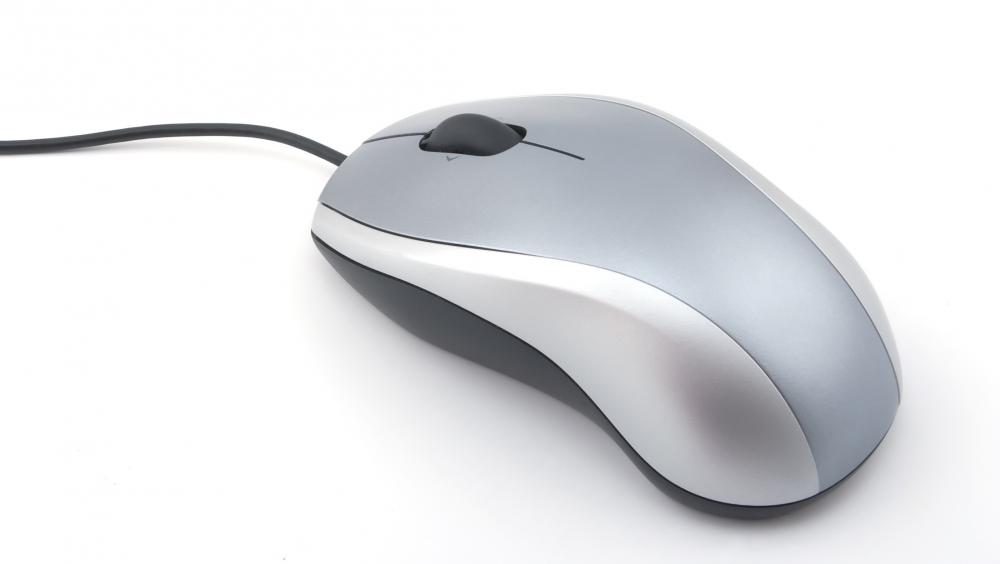 what does computer mouse mean