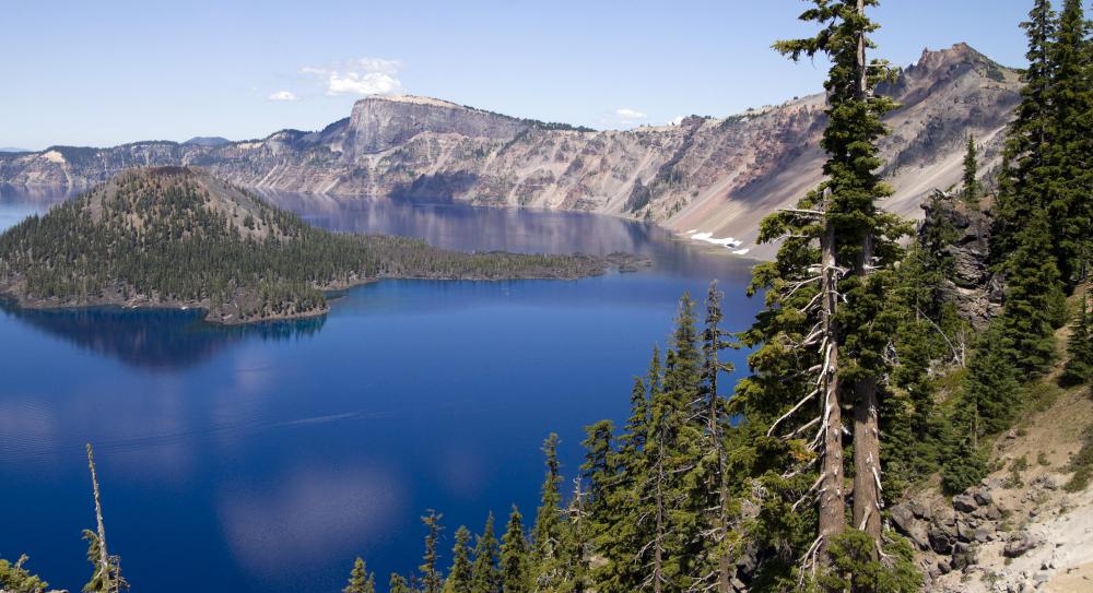 Why Is Oregon Called the Beaver State? (with picture)