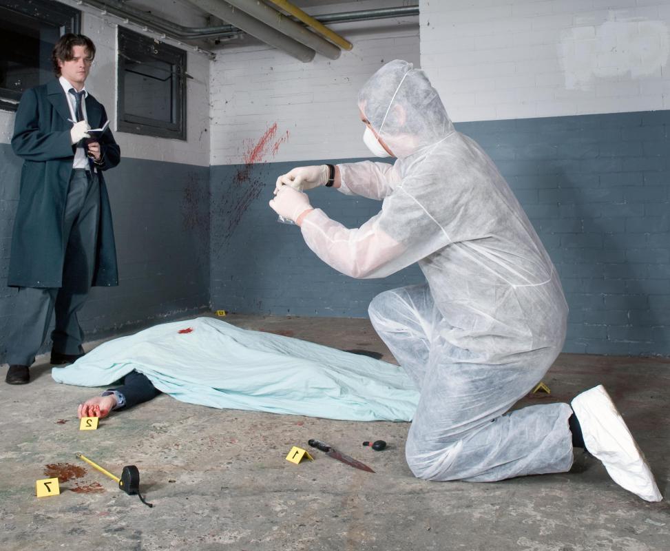 How Do I Become A Crime Scene Examiner With Pictures