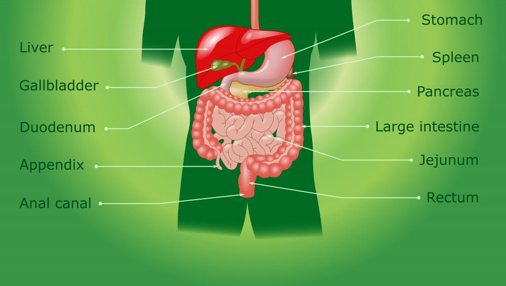 What are Treatments for Peritonitis? (with pictures)