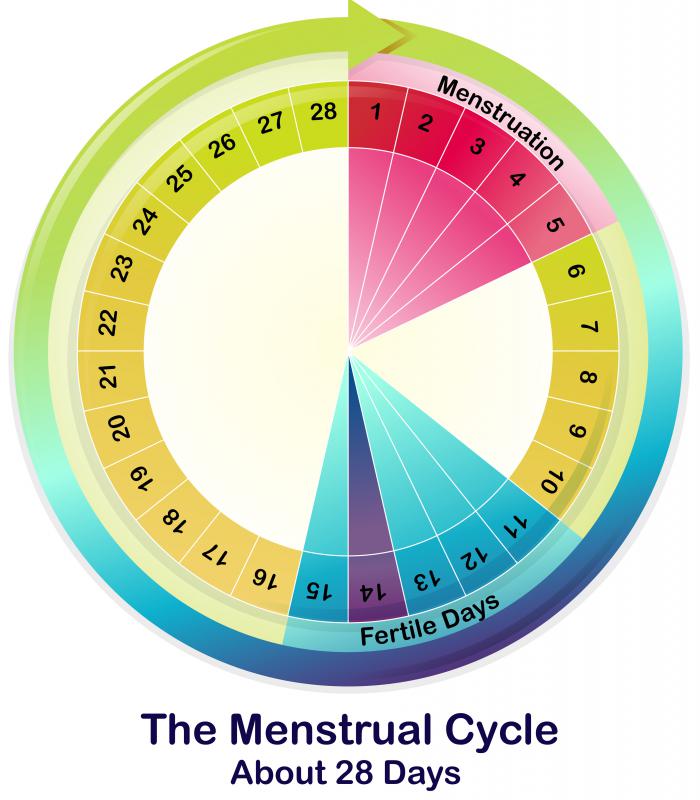 What is Ovulation Spotting? (with pictures)