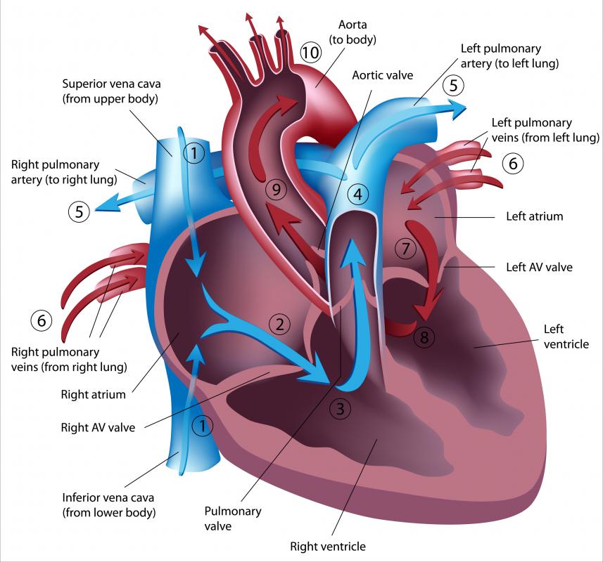 What Is The Ejection Fraction For Heart Failure