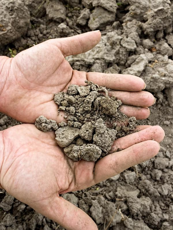 what-is-loam-soil-with-pictures