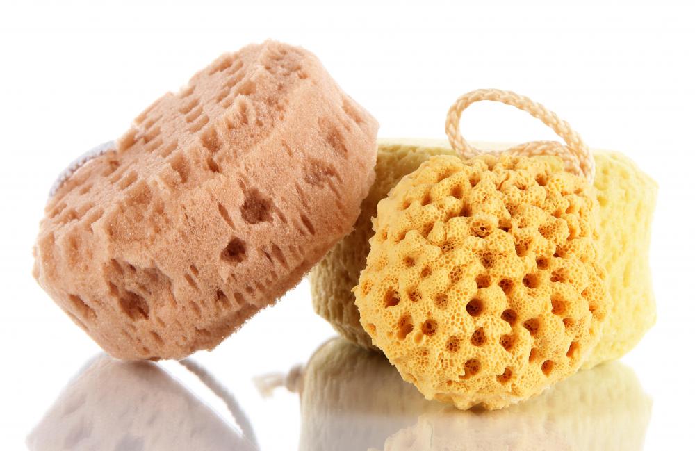 real sponge for bath