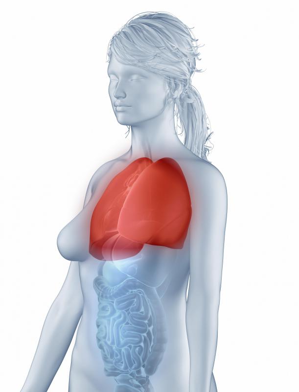 What Is Different About Lung Cancer In Women With Pictures