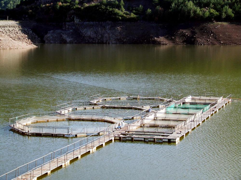 What are the Different Types of Aquaculture Farms?