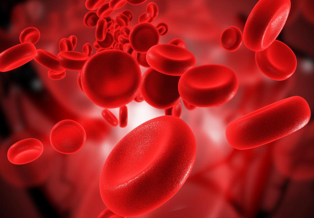 what-is-the-normal-size-of-red-blood-cells-with-pictures