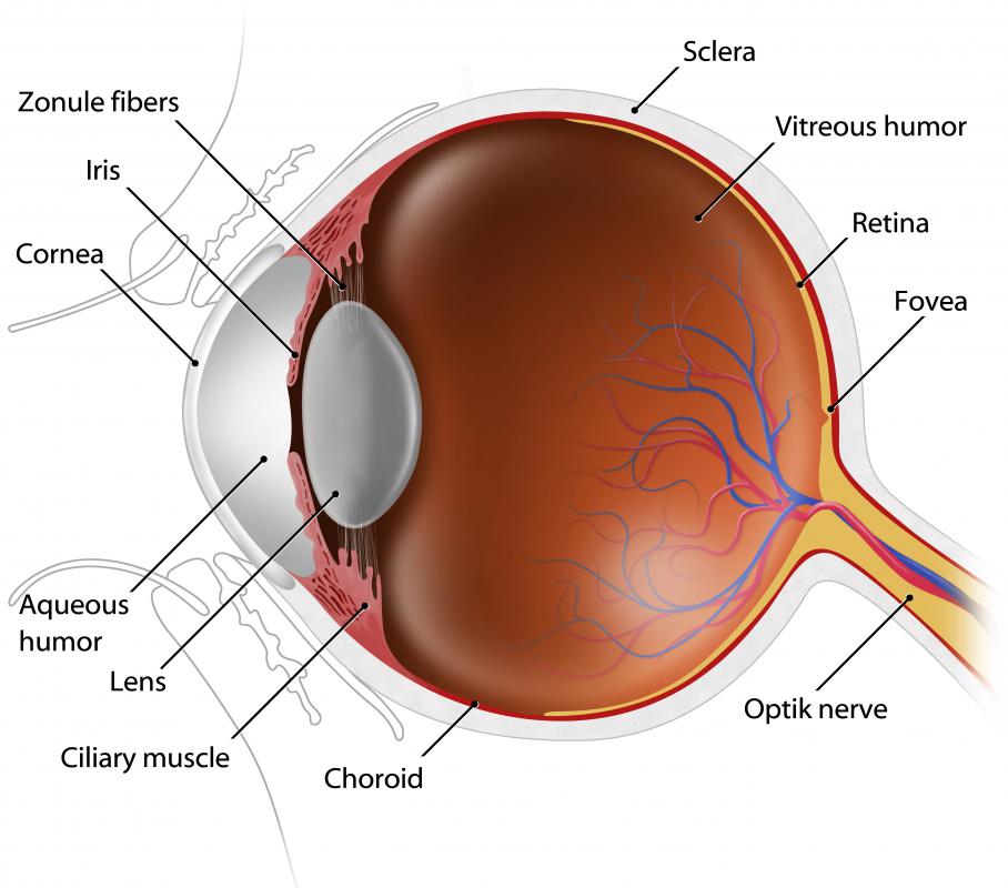 Problemas com a retina podem ser a causa da macropsia.