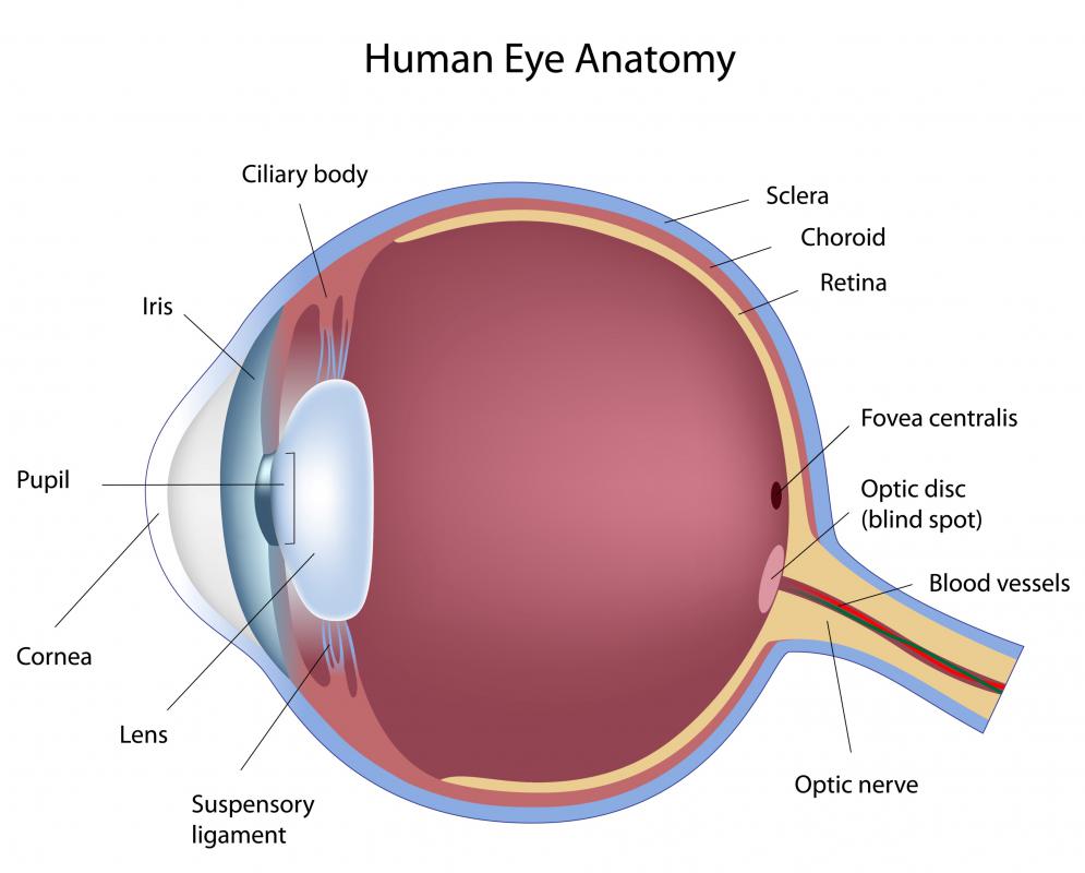 what-is-eye-cellulitis-with-pictures