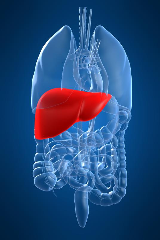 what is a liver nodule