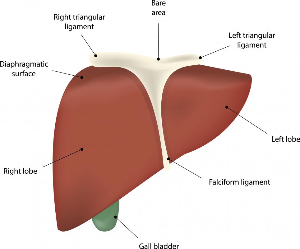 What Is Lip Hyperpigmentation? (with pictures)