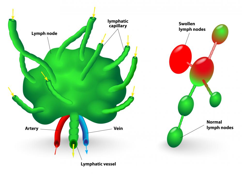 armpit lymph nodes